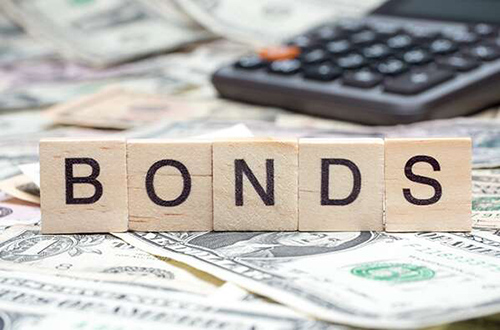 GOI Bonds Shreedhar Wealth